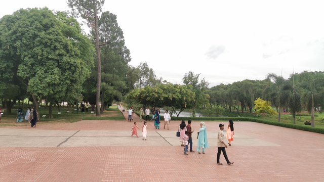 IMG_20240526_165759.jpg