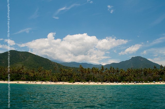 _DSC0508.jpg