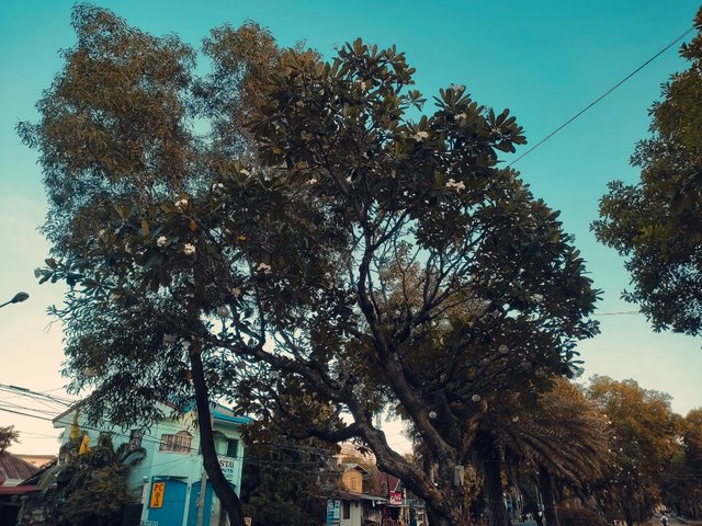 IMG_20250305_165315.jpg