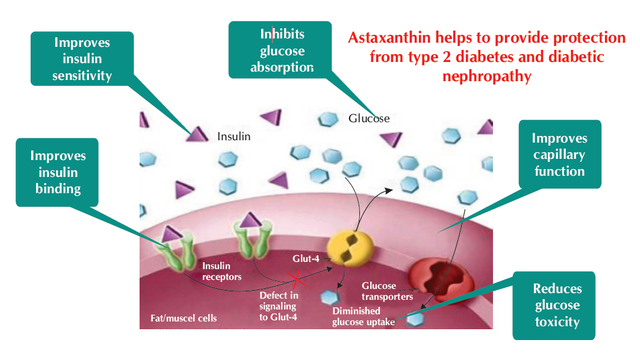 Astaxanthin2.png