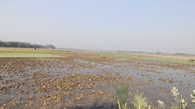 IMG_20250208_094314.jpg