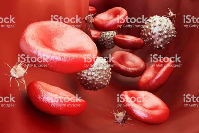 blood-cells-background-3d-rendering-picture-id654079690(1).jpg