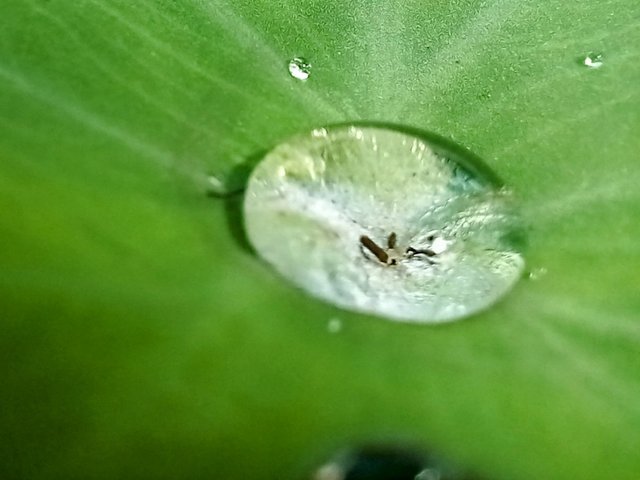 20250622_141605~2.jpg