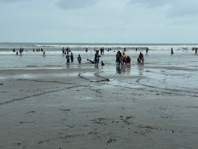 IMG_9274.jpeg