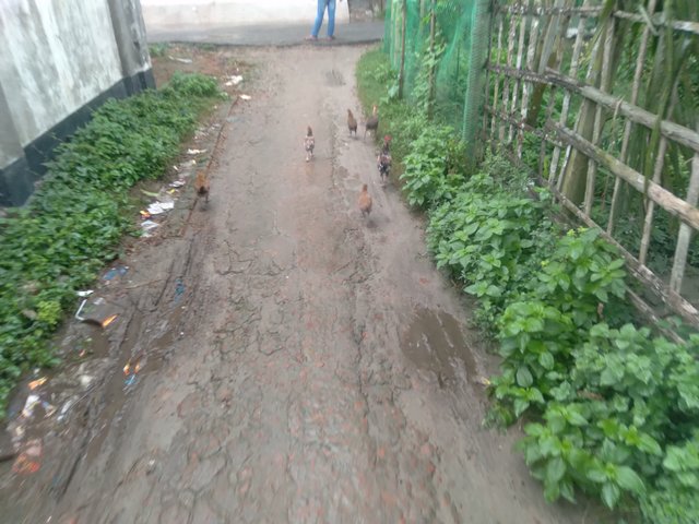 20250620_130053.jpg