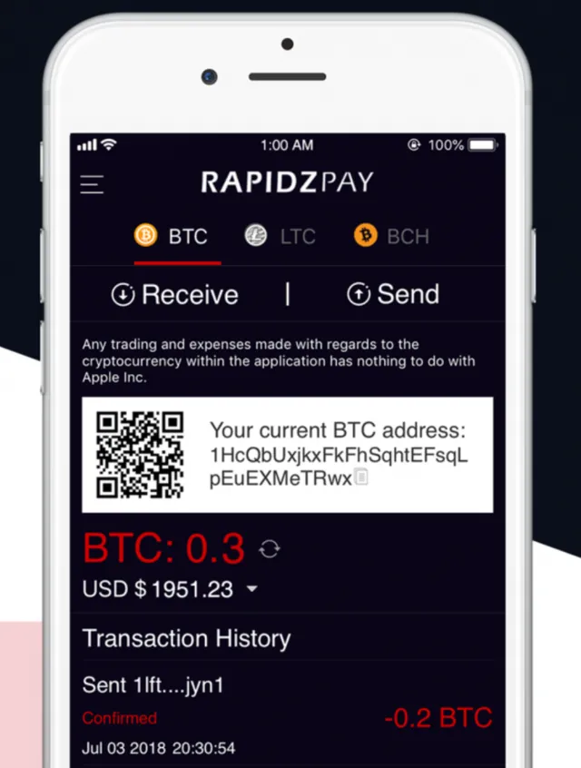 rapidzpay-ios-app-696x920.webp