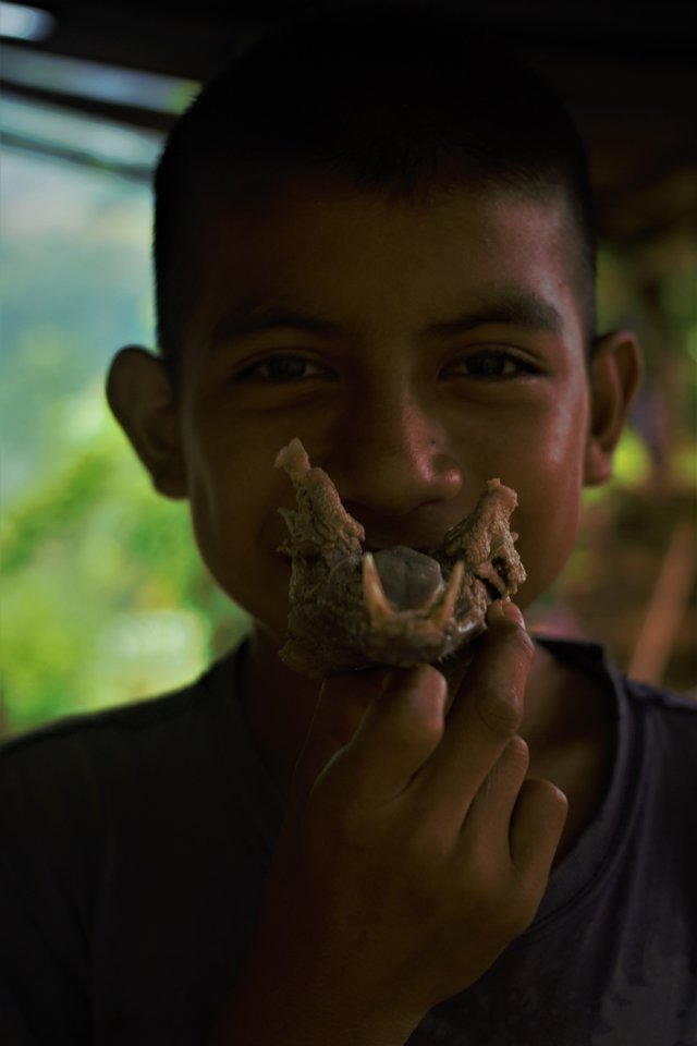 Retrato con mandíbula de tejón.jpg