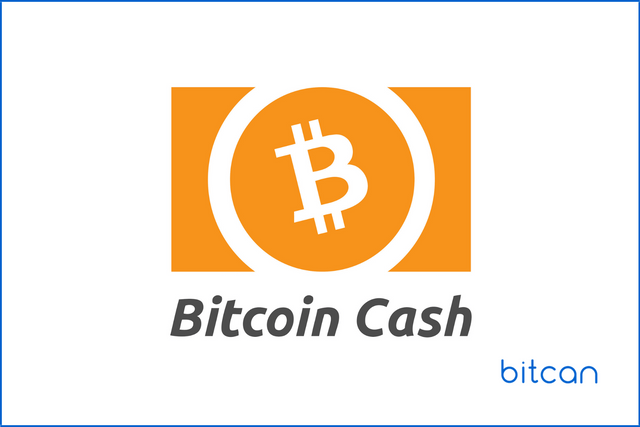 01.03.2021.-Bitcoin-Cash-traci-na-znaczeniu-3.png