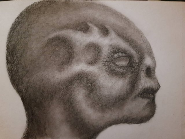 20250519_113706.jpg