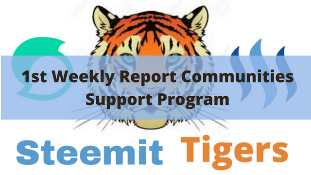 1st Weekly report for the Steemit Communities Support Program.png