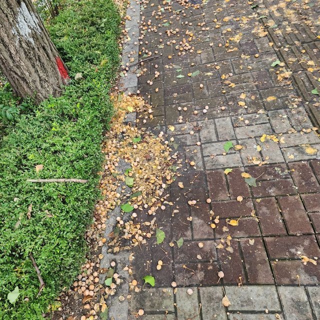 20251011_162246.jpg
