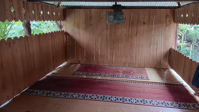 20250627_135243.jpg