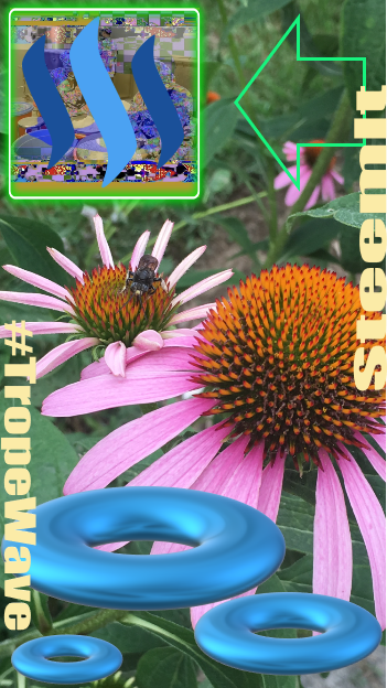 724 steem flowers 1.png