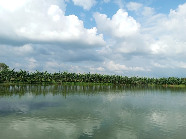 IMG_20250923_153539_182.jpg