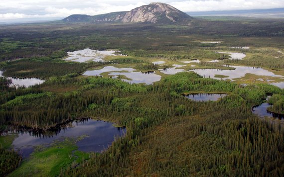 2017-05-16-1494961631-265570-borealwetlandsnwt-thumb.jpg