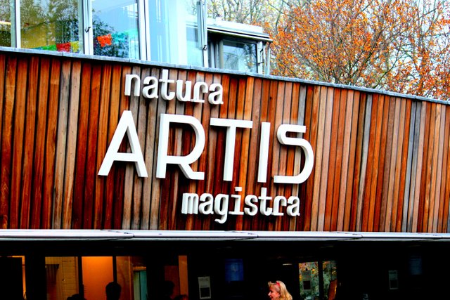 Natura Artis Magistra - Artis Zoo, Amsterdam — Steemit