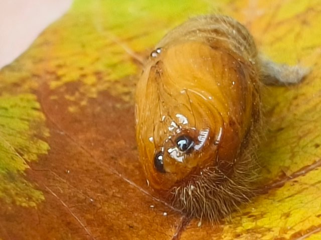 1000161201.jpg