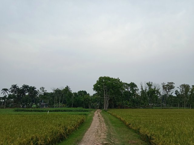 IMG_20250503_211549.jpg