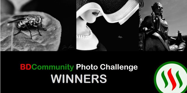 BDC photo challenge winners.jpg