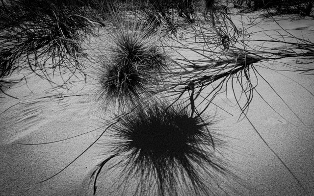 20250718_132847.jpg