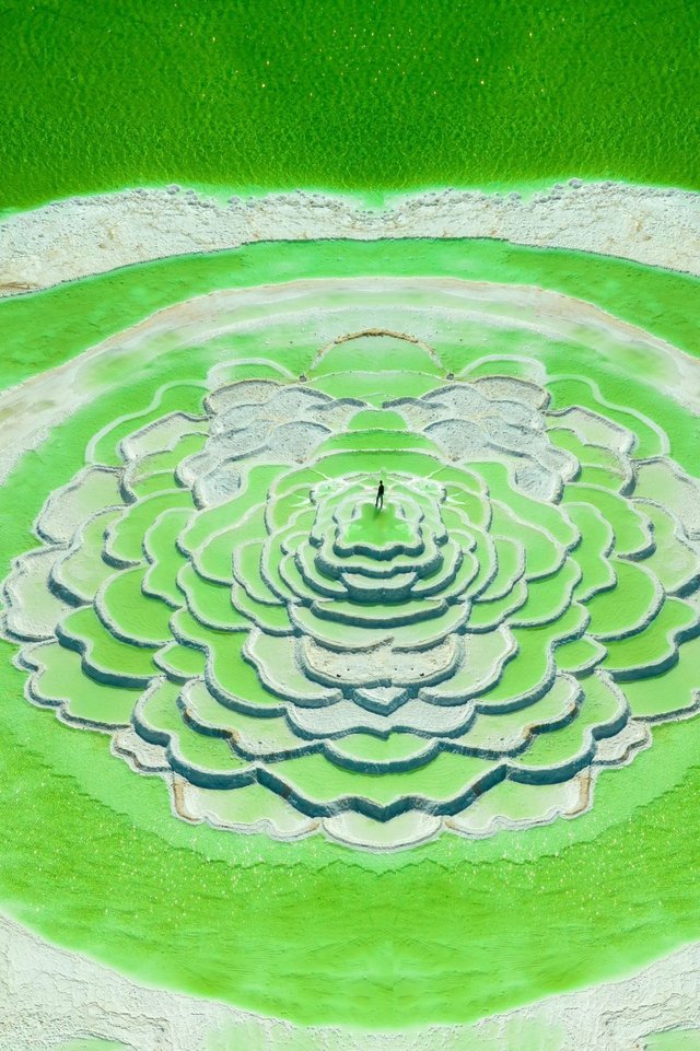 xzg_56990.png
