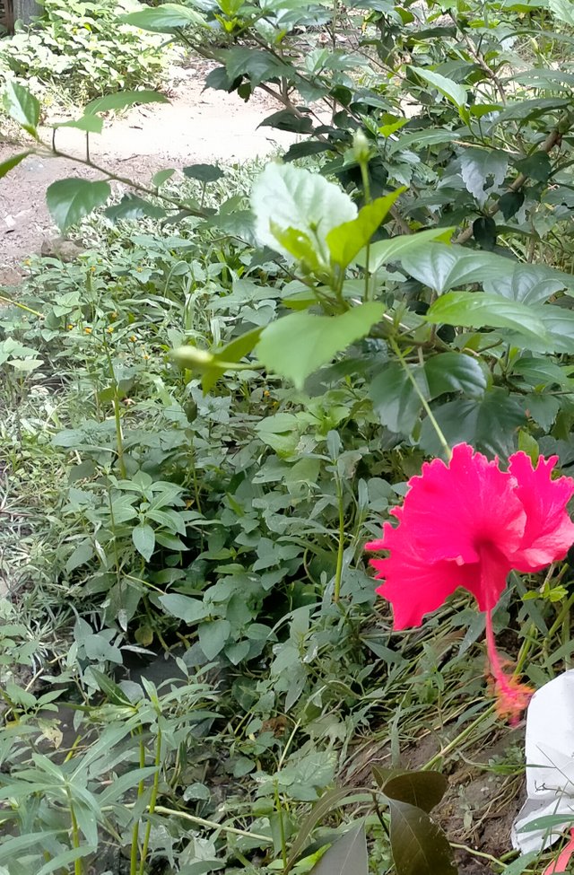 IMG_20250628_122442.