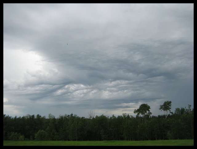 Dark cloud formations over the tree tops.JPG