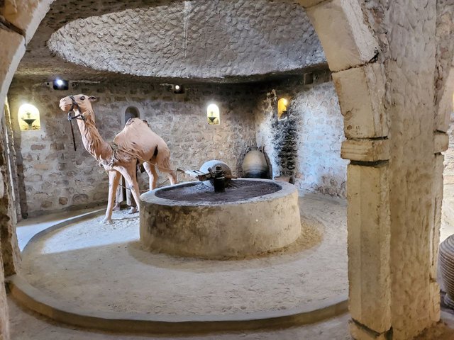 au cave de potterie.jpeg