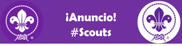 Scouts Anuncio.png