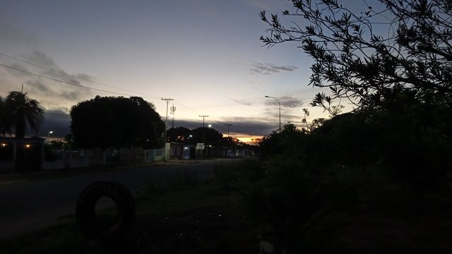 IMG_20250521_053926_1.jpg