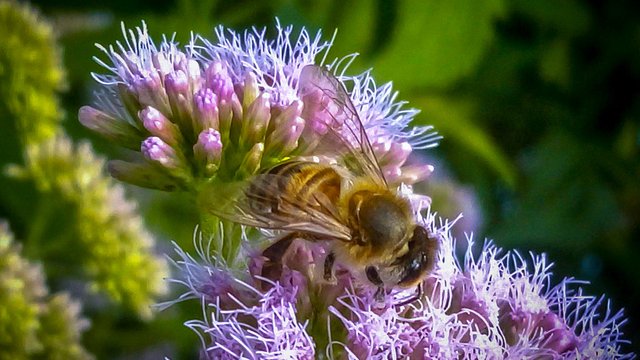 IMG_20240629_094500_099 (1).jpg