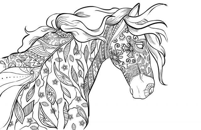 Raskrasil.com-Coloring-Pages-Animal-for-Adults-71.jpg