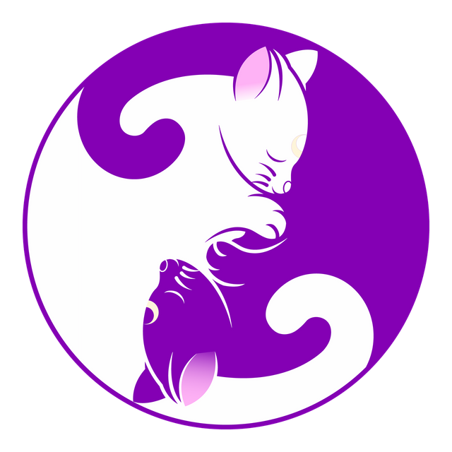 cat-1539610_1280.png