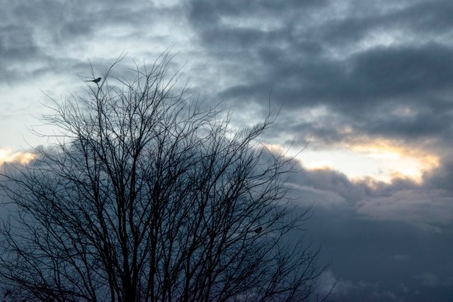 20211023_1.jpg