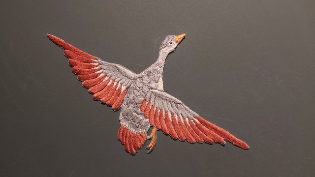 20230422_161028.jpg