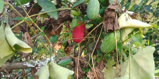 20190314_075425.jpg