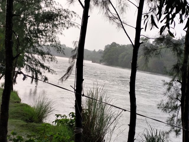 IMG_20250628_182242.jpg