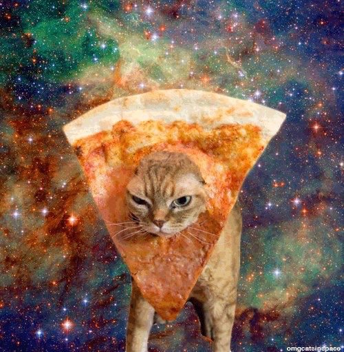 cute-space-pizza-cats-wallpapers-Favim.com-4178685.jpeg
