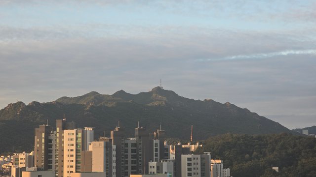 1000136226.jpg