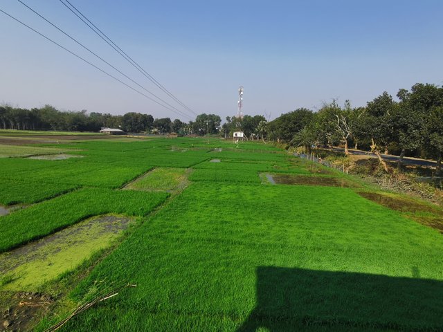 IMG_20250208_093703.jpg