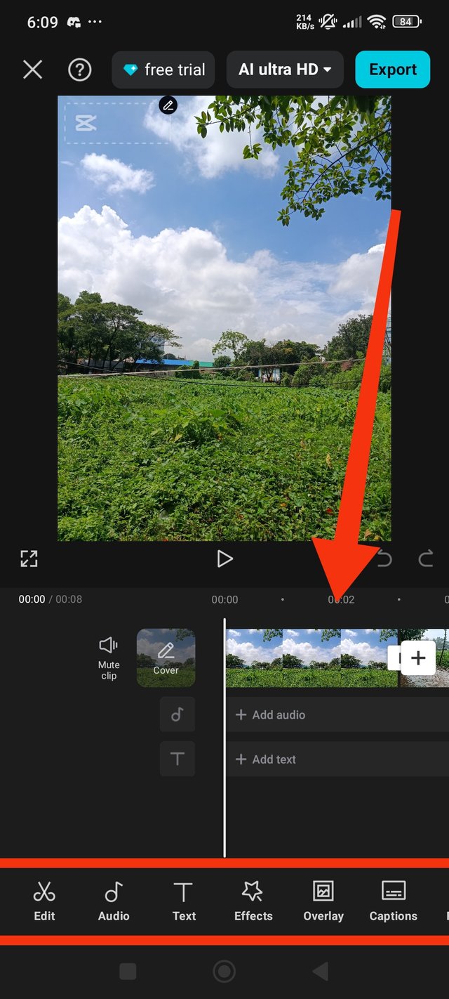 1000000499.jpg