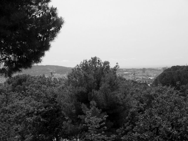 DSCN0726.JPG