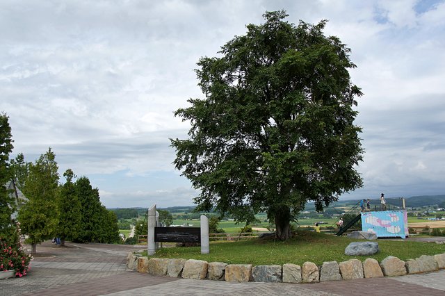 Japan-Hokkaido12802-731.jpg
