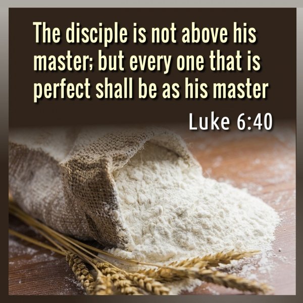 The disciple is not above his master; but every one that is perfect shall be as his master. Luke 6,40. Meaning and exegesis.jpg