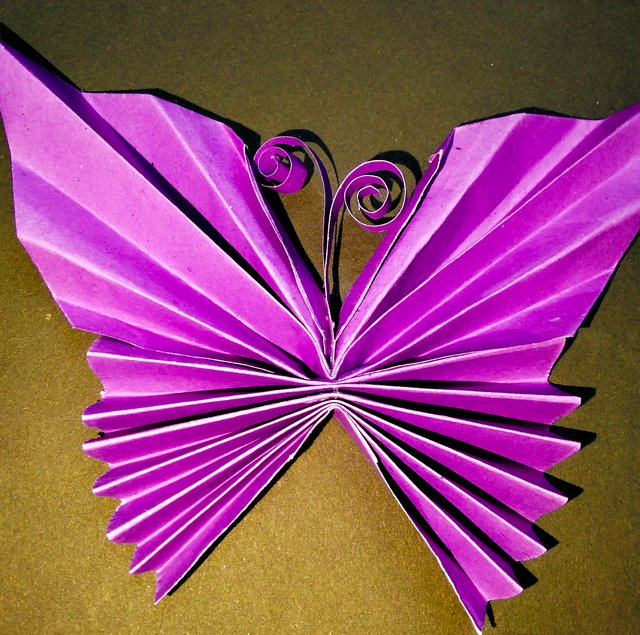 IMG20250711205524_1.jpg