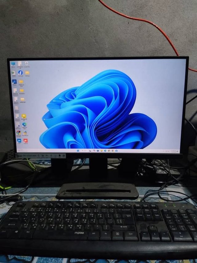 1000034172.jpg