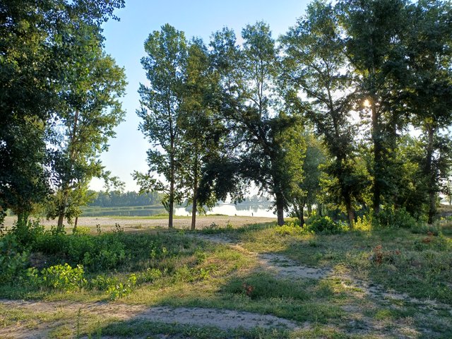 20250805_071105.jpg