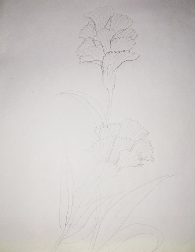 IMG_20250518_213913.jpg