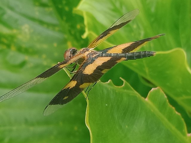 IMG20251002131113.jpg
