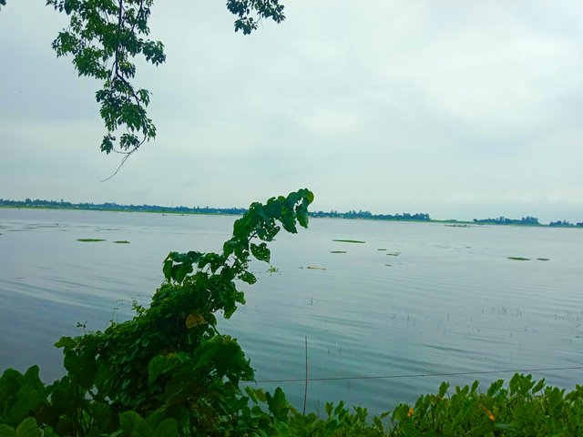 IMG_20250728_202916.jpg